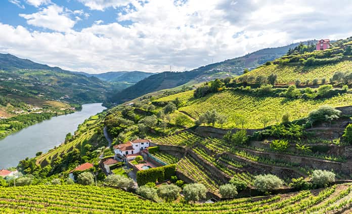 Northern Portugal & Douro Valley Bike Tour