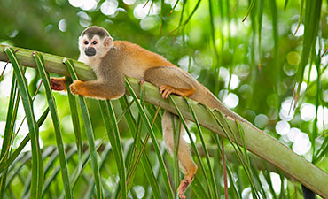 Sep costa rica tours small