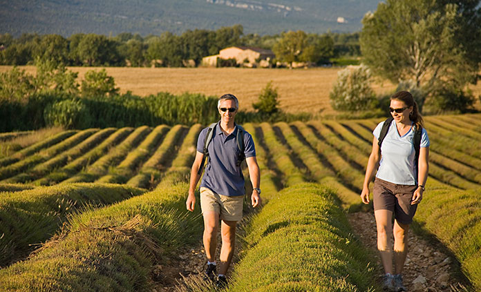 Provence walking and hiking tour