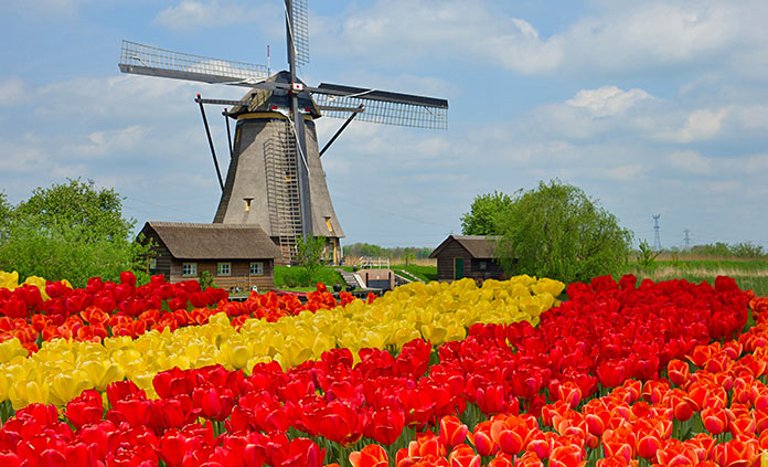 Holland and Belgium Adventure Tours