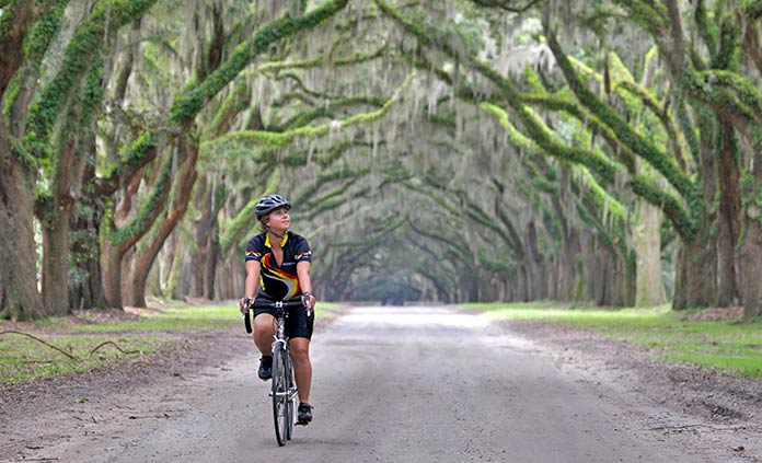 South Carolina and Georgia Tours