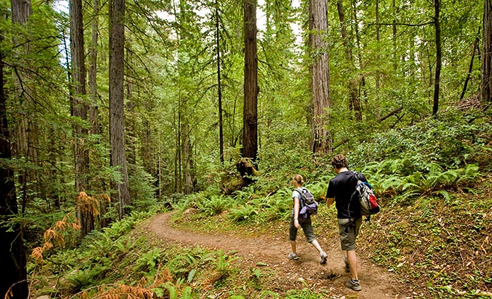 California Hiking & Walking Tours | Backroads Active Travel