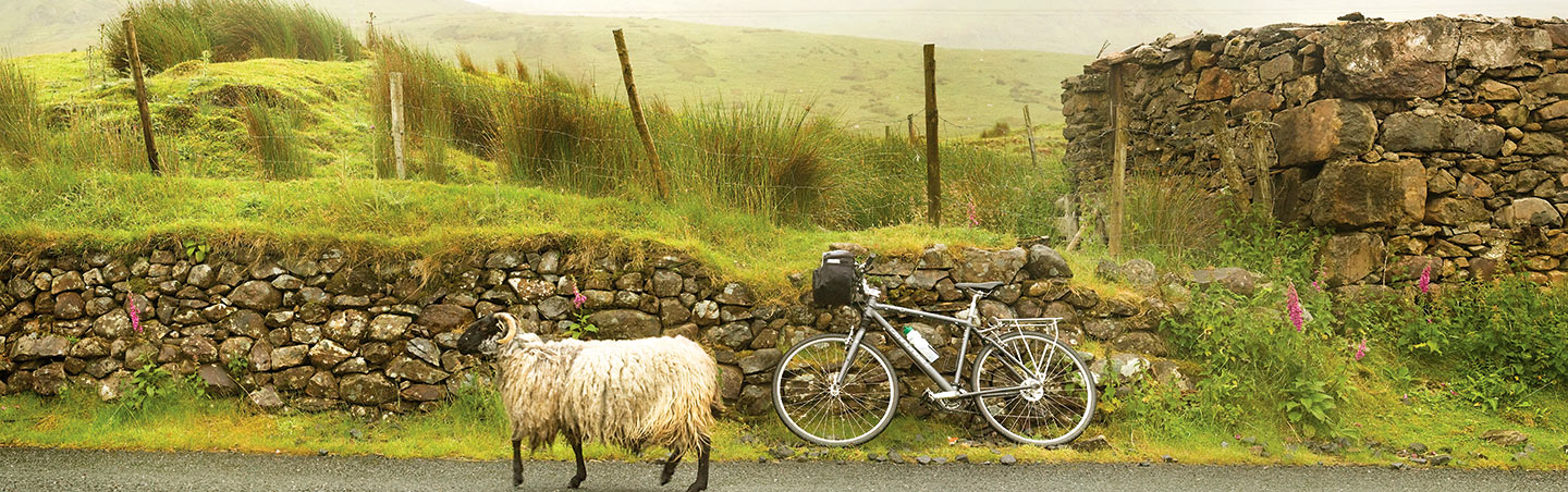 trips biri ireland biking tour trips biri ireland biking tour