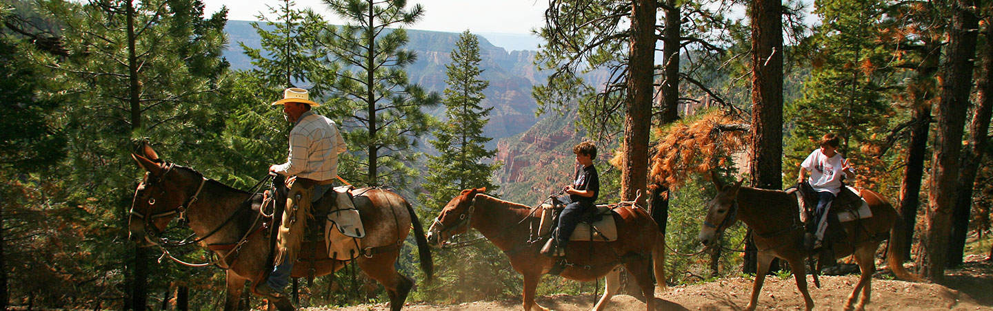 Grand Canyon, Bryce amp; Zion Family Biking amp; Hiking Tours