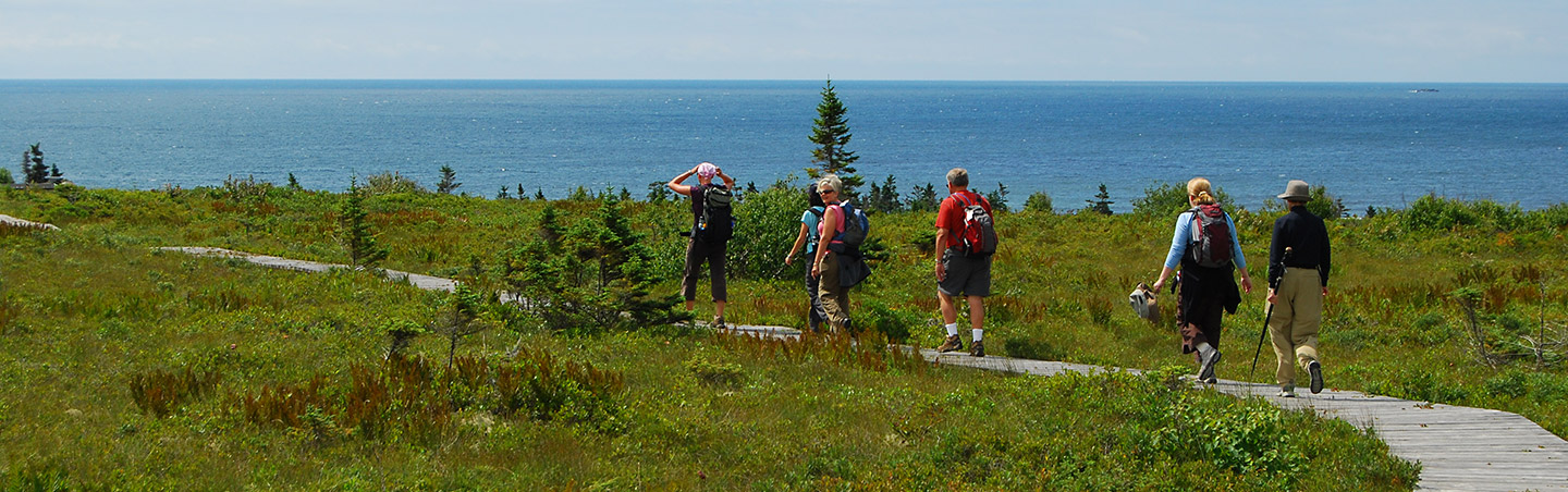 nova scotia walking tour