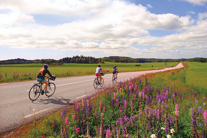 Sweden To Denmark Family Bike Tours - Older Teens & 20s