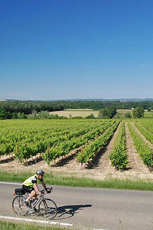 Provence Bike Tours, Southern France Bicycle Tour | Backroads