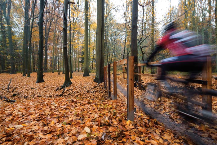 vermont bike tours 2021