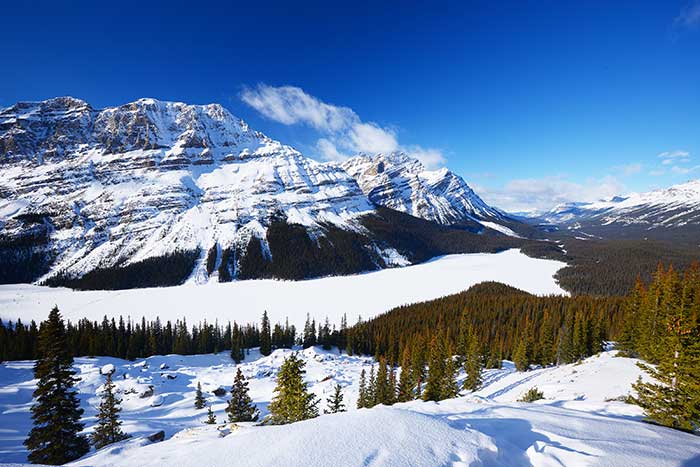 tour canada in winter