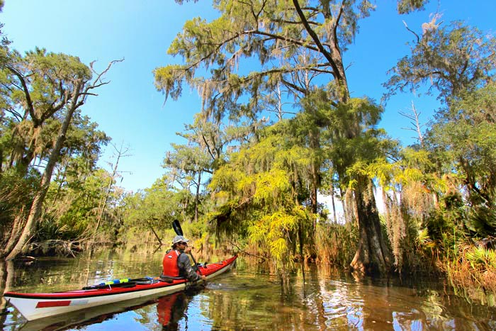 Savannah Bike Tours | Charleston Bike Tours | Backroads