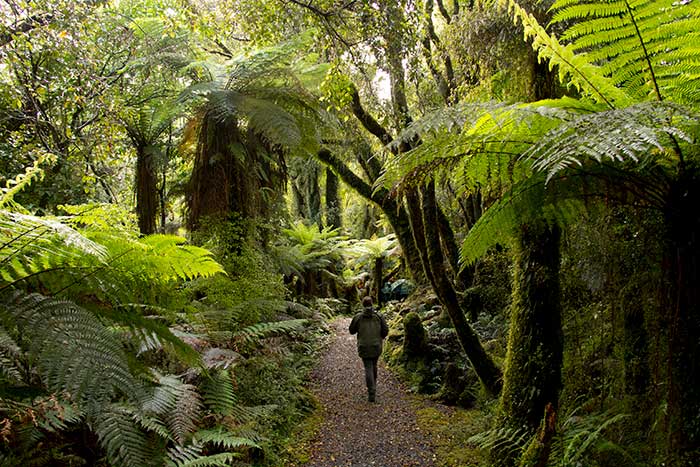 New Zealand Hiking Tours | Hiking New Zealand | Walking Tours