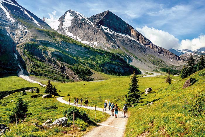 swiss alps walking tours