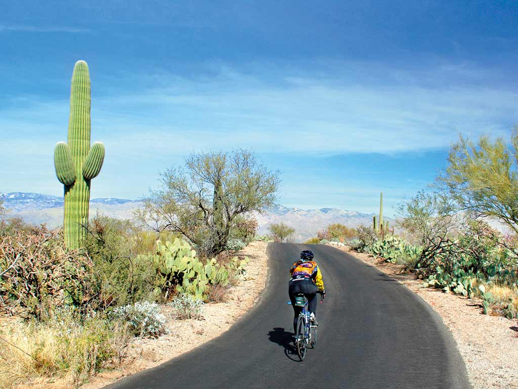 cycling trips arizona