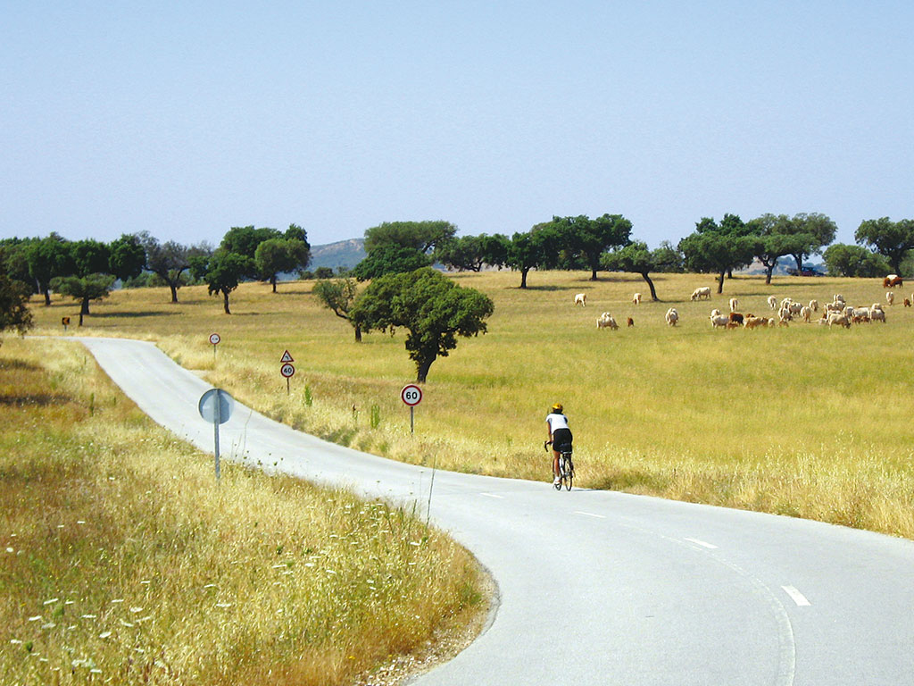 backroads portugal bike trips