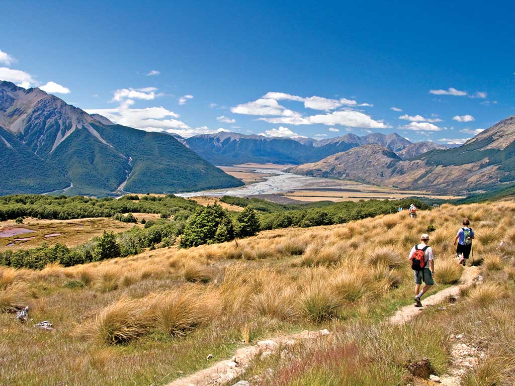 new zealand hiking trips